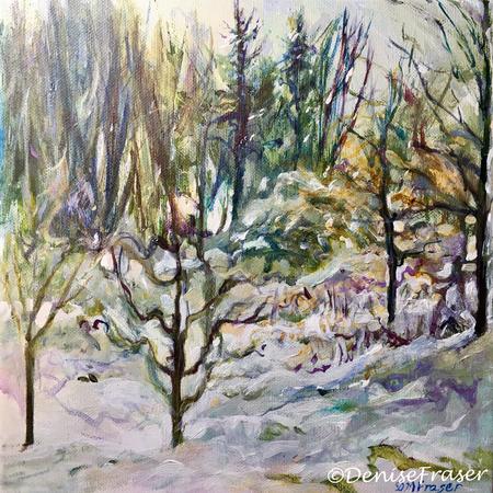 New trees in the snow