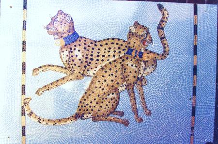 Cheetas, Private Commission