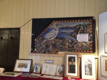 Gannet on show at Devils Bridge Wales before installation