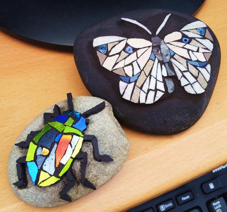 images from the book