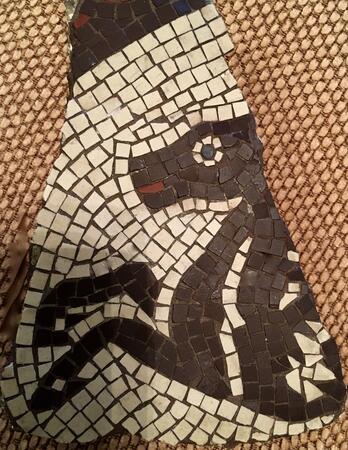 Hippacanthus  Mosaic 