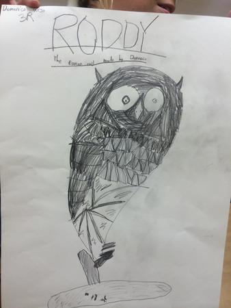 owl drawing winner