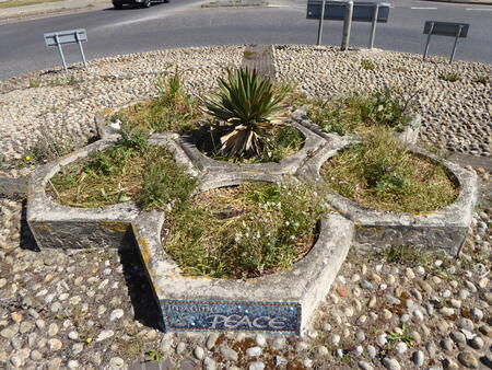 Overgrown weeds in planters before picture 
