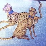 Cheetas, Private Commission