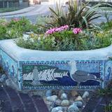 The Roundabout in 1999