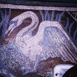 CYGNUS by Marjorie Knowles on the BRITISH PULLMAN