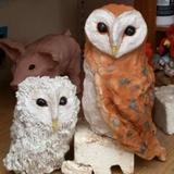OWLS
