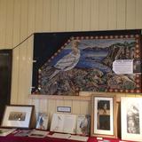 Gannet on show at Devils Bridge Wales before installation