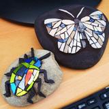 images from the book