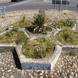 Overgrown weeds in planters before picture 