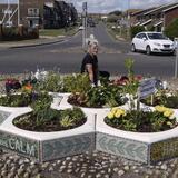 Sitting amongst the flowers 