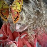 Butterfly hair clips 