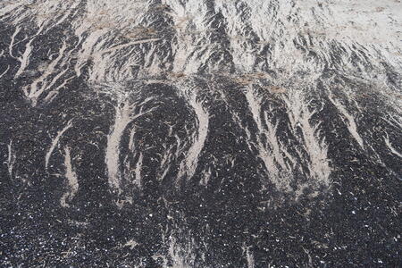 St Andrews beach marking