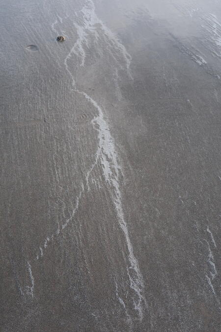 Traces on Craster beach