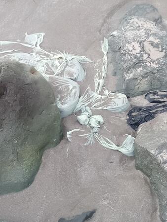 Trapped waste on the beach