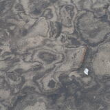 St Andrews beach markings 