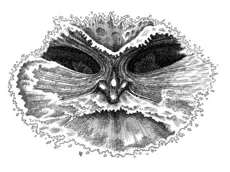 Pontus, personification of the sea