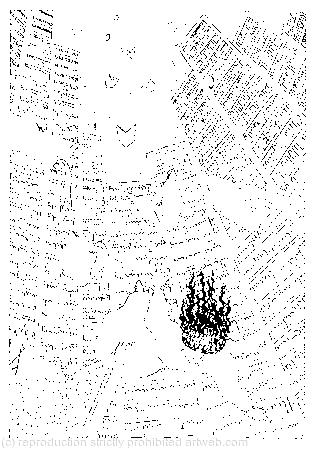 They were filled with cupboards and book-shelves