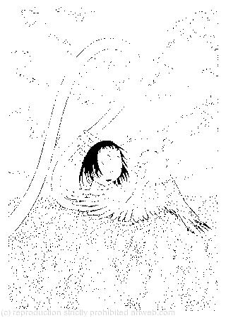 A large pigeon had flown into her face