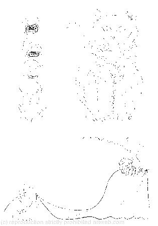 'If you're going to turn into a pig, my dear;' 'That depends a good deal on where you want to get to;' She hurried out of the room