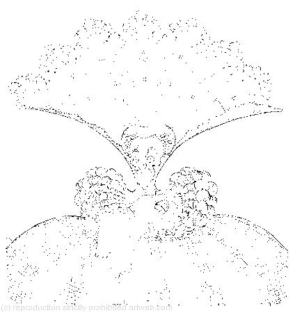 The Duchess was sitting on a three-legged stool in the middle, nursing a baby