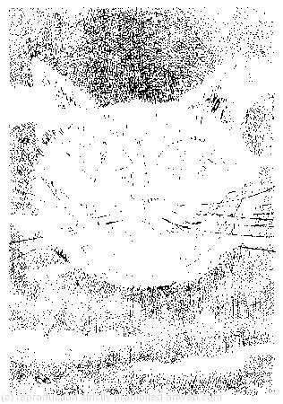 ‘How do you like the Queen?’ said the Cat