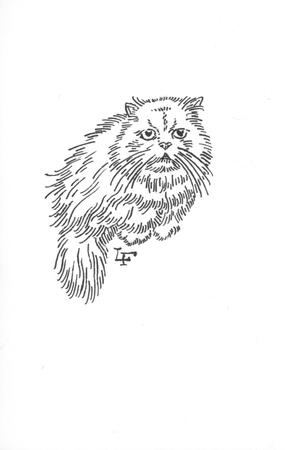 Persian Cat