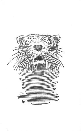 Otter