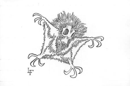 One of the Keres in flight