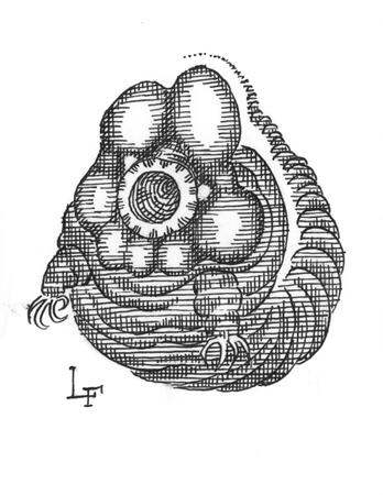 Ghost of a Tardigrade