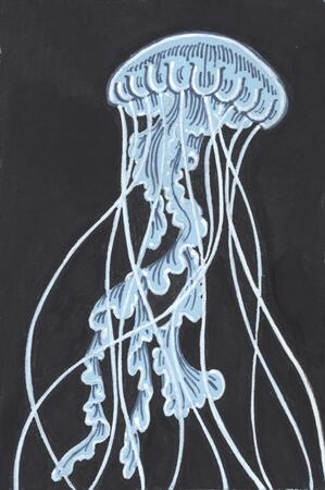 Blue Jellyfish