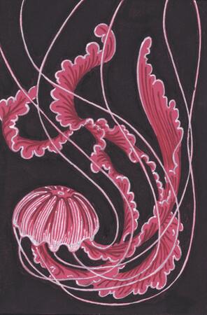 Pink Jellyfish