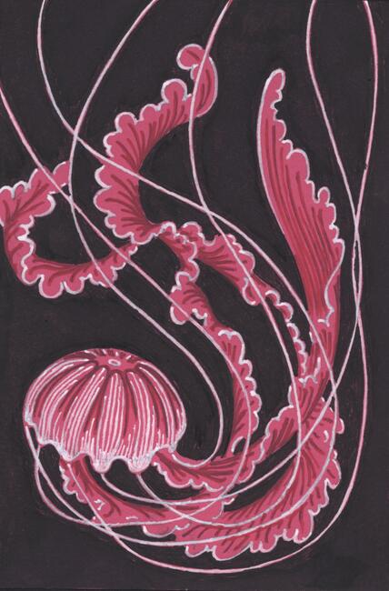 Pink Jellyfish