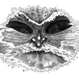 Pontus, personification of the sea