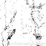 The judge, by the way, was the King