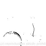 A tiny golden key; a little bottle; a very small cake; she knelt down and looked along the passage into the loveliest garden; going out altogether, like a candle