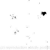 A watch out of its waistcoat pocket; She found herself falling; it was labelled 'Orange Marmalade'; 'I wonder if I shall fall right through the earth!'