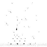 Before her was another long passage, and the White Rabbit was still in sight, running down it