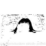 ‘I wish I hadn’t cried so much!’