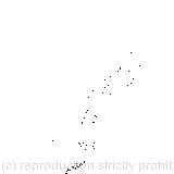 And pour the waters of the Nile on every golden scale