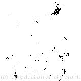 And welcomes little fishes in, with gently smiling jaws