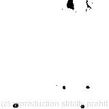 She hastily dried her eyes to see what was coming