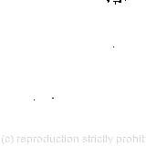 The Rabbit started violently; 'I'm opening out like the largest telescope that ever was!'; It was the White Rabbit, returning, splendidly dressed