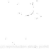 'Found what?' said the Duck