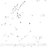 'I'll be judge, I'll be jury,' said cunning old Fury