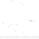 An old crab took the opportunity; 'Ahem' said the mouse; 'William the Conqueror, whose cause was favoured by the Pope