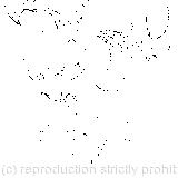 It stood for a long time with one finger pressed upon its forehead