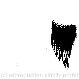 ‘Speak English’ said the Eaglet/The birds with draggled feathers/’In that case,’ said the Dodo solemnly