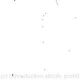 The next thing was to eat the comfits