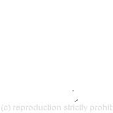 'There goes Bill!’